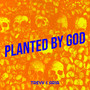 Planted by God