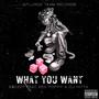 What you Want (feat. Xos Poppy & Dj Hitta) [Explicit]