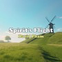 Spirit's Flight