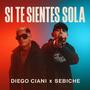 Si te sientes sola (feat. Sebiche)
