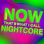 NOW THAT'S WHAT I CALL NIGHTCORE