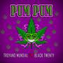 Pum Pum (feat. Black Twenty) [Explicit]