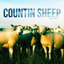 COUNTIN' SHEEP (Explicit)