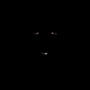 MUTTY (Explicit)