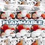 Flammable (Explicit)