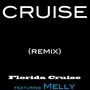 Cruise (Remix)