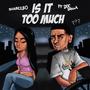 IS IT TOO MUCH (feat. Doc Dolla) [Explicit]
