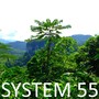 System 55