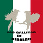 Los Gallitos De Hidalgo