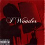 I Wonder (Explicit)