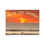 Never Say Goodbye