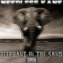 Elephant in the Sand (Explicit)
