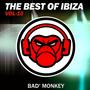 The Best Of Ibiza Vol.10 Compiled By Bad Monkey