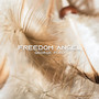 Freedom Angel