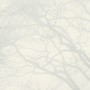 Empty Memory