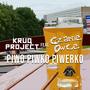 Piwo Piwko Piwerko (feat. CZARNE OWCE)