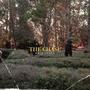 The Chase (Explicit)