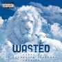 Wasted (Explicit)