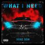 What I Need (Explicit)