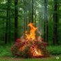 How Darkness Was Banished (Explicit)