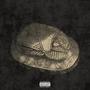 Entomophobic (feat. Richie Wes) [Explicit]
