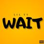 Wait (Explicit)