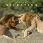 Natural Selection (Explicit)