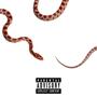 Snake Charmer (Explicit)