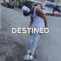 Destined (Instrumental de Trap Detroit Hard, Type Beats Trap Freestyle 2025)