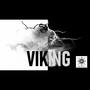 Viking (with Fenec)