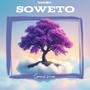 SOWETO (Spanish Version)