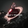 What I Wanted (Explicit)