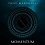 Momentum