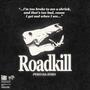 ROADKiLL