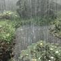 walk thru the rain w no coat (Explicit)