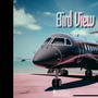 Bird View (feat. J Amiir) [Explicit]