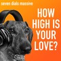 How High Is Your Love