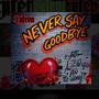 Never Say Goodbye (Explicit)