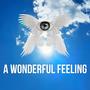 A Wonderful Feeling (Explicit)