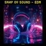 Snap of Sound – EDM