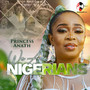 We Are Nigerians