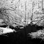 Red Snow (Instrumentals)