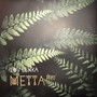 Metta