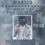 LOST FILES (Explicit)