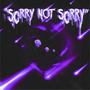 Sorry Not Sorry (Explicit)