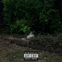 The Forest (Explicit)