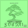 Verde (Bonsai) [Explicit]