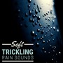 Soft Trickling Rain Sounds: Nature Sound with New Age Ambience