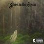 Ghost in the Loam (feat. ZOZ & Holyvexy) [Explicit]