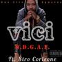 W.D.G.A.F. (feat. Stro Corleone) [Explicit]